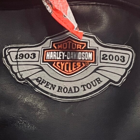 HARLEY-DAVIDSON Licensed Collectible 100 Year Anniversary Large Teddy Bear - Picture 5 of 11